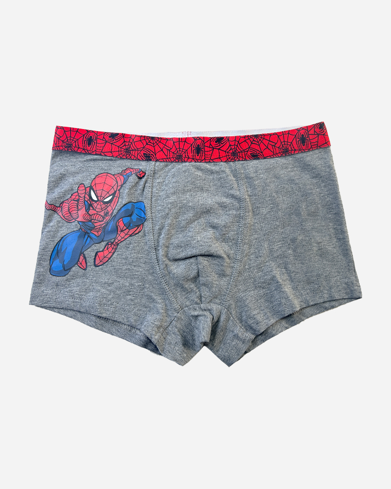 Spider Man Print Classic Fit Boxer Brief Set